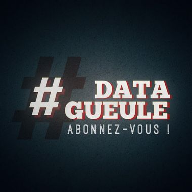 #datagueule